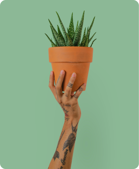 Mão tatuada segurando um vaso de planta